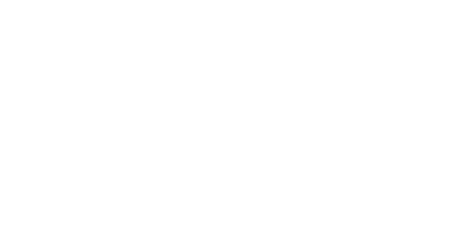 Hotel Magnus
